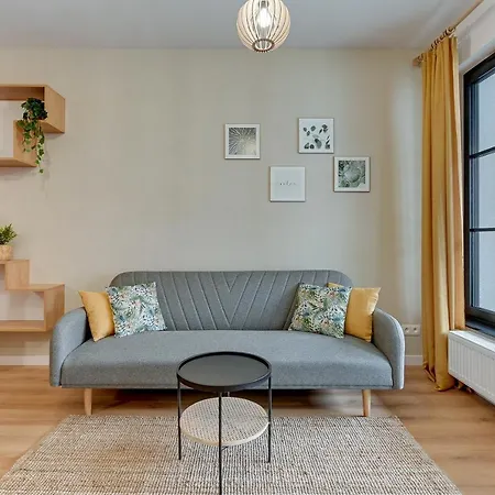 Ms Doki Ii * Danzica